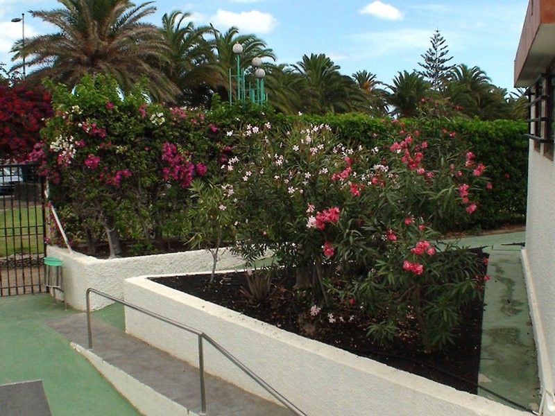 Bungalows Dona Rosa Playa del Inglés Exteriér fotografie
